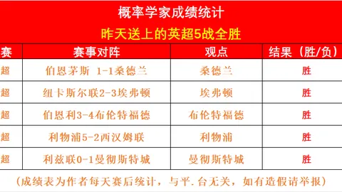 雄狮球迷球场守候，共庆胜利喜悦