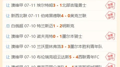 比利时女子篮球队对决意大利女子篮球队：数据对比与解析终极指南